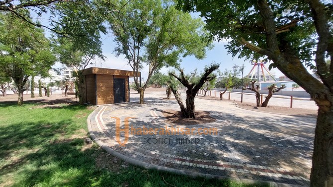 Gölete Açılacak Zeytin Kafe En Gözde Mekana Aday