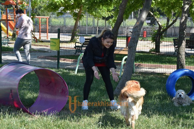 Akhisar'da bir ilk; Köpek Parkı