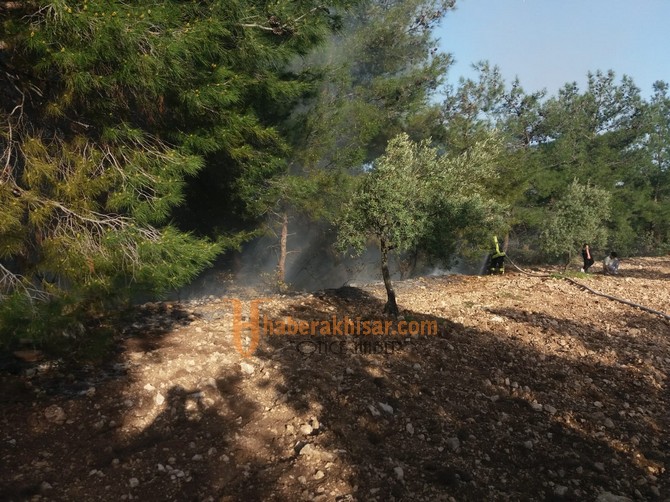 Akhisar’da Ormanlık ve Zeytinlik Alandaki Yangına Müdahale