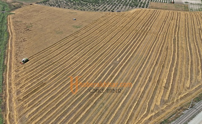10 Bin Yıllık Ata Tohumu Karakılçık Buğdayı Hasadı Yapıldı