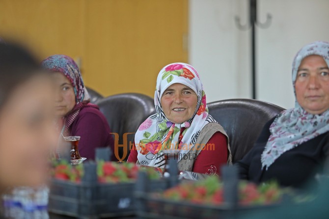 Kadın Çiftçiler İlk Hasatlarını Belediye Başkanı Besim Dutlulu İle Paylaştı