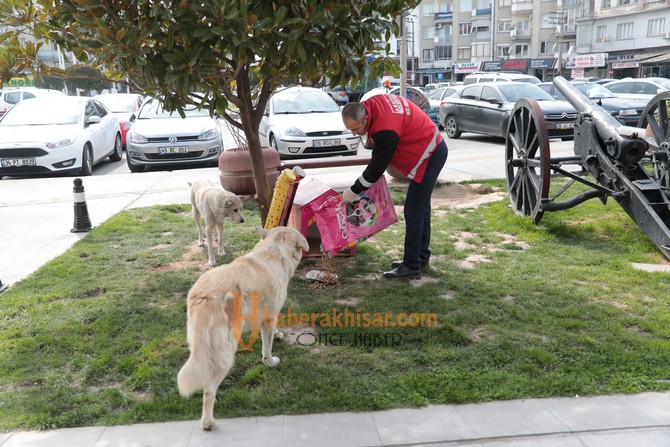 Akhisar Belediyesi Sokak Hayvanlarını Unutmuyor
