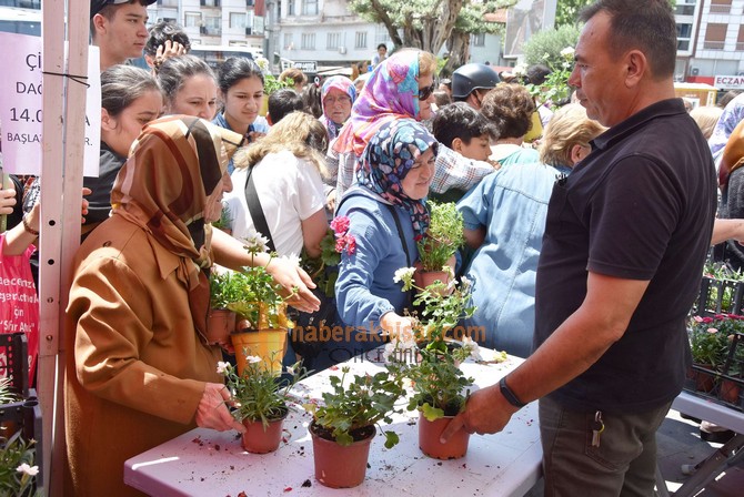 Akhisar Belediyesi 15 Bin Adet Çiçek Dağıttı