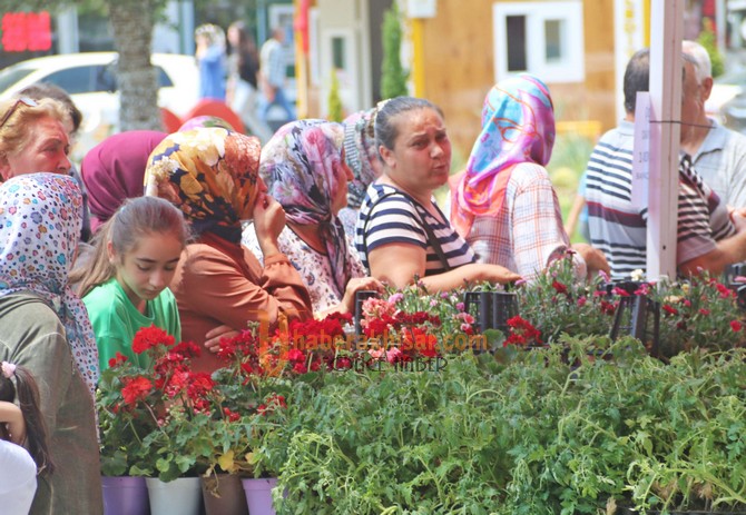 Akhisar Belediyesi 15 Bin Adet Çiçek Dağıttı